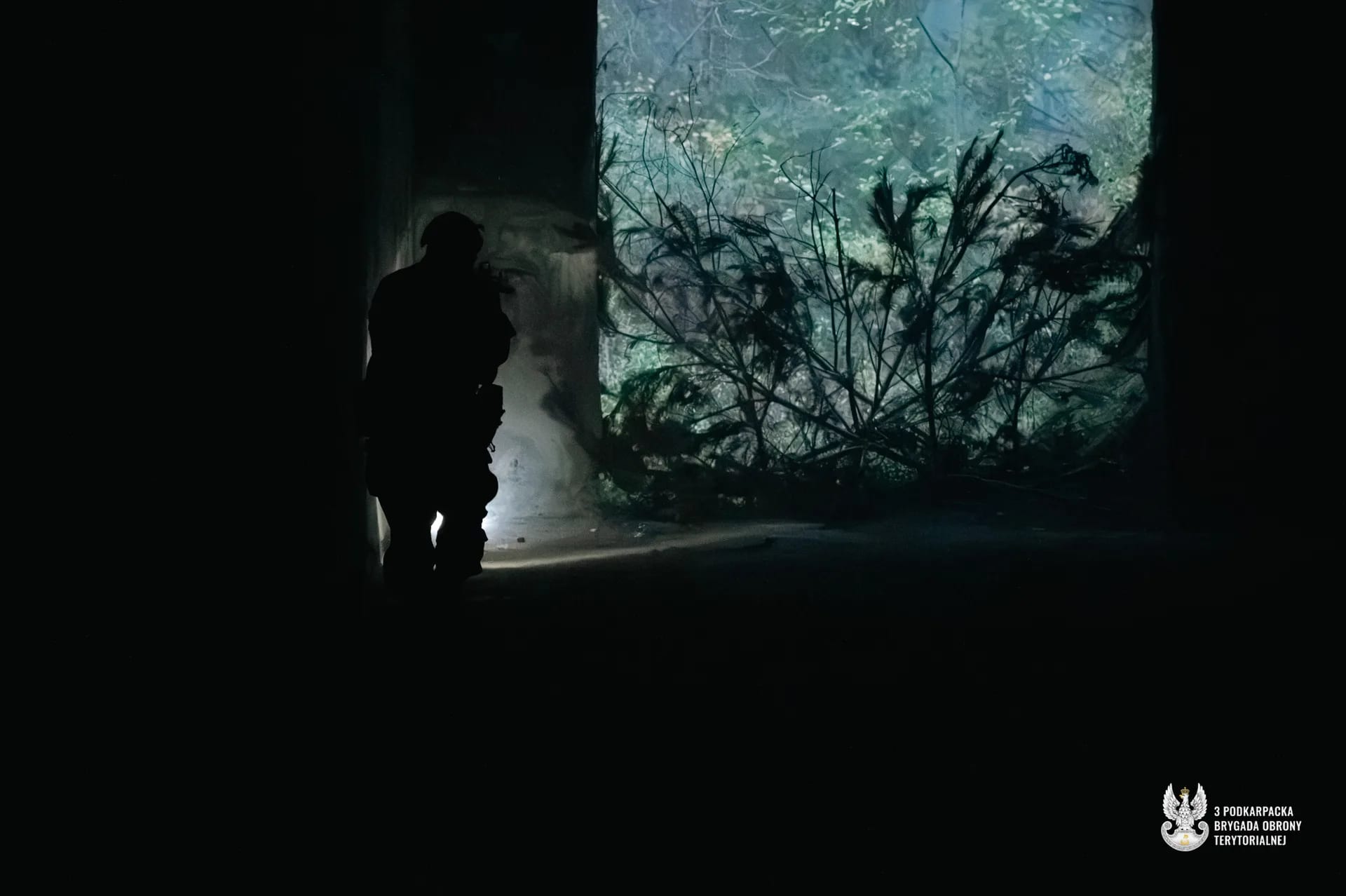 Nocne manewry wojskowe na Podkarpaciu